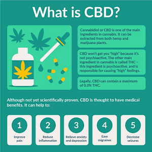 What is CBD infographic