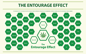 Image of the entourage effect